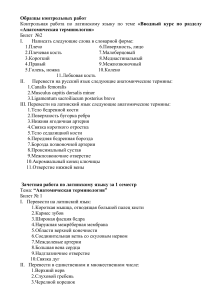 Латинский язык: контрольные, зачеты, экзамены