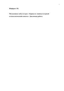 Молодежные субкультуры Барнаула: дипломная работа