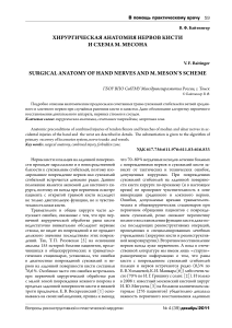 Хирургическая анатомия нервов кисти: схема Месона