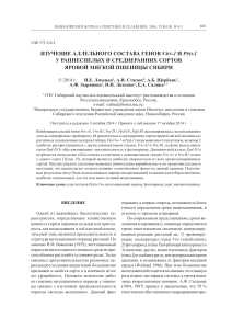 Гены Vrn-1 и Ppd-1 яровой пшеницы Сибири
