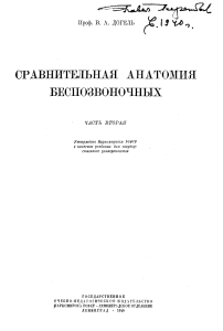 Сравнительная анатомия беспозвоночных. Часть 2