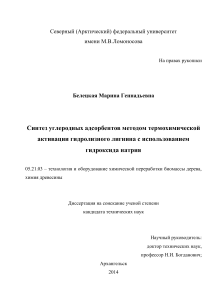 Синтез углеродных адсорбентов из лигнина: диссертация