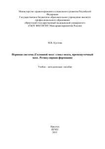 Нервная система: ствол мозга, промежуточный мозг - пособие