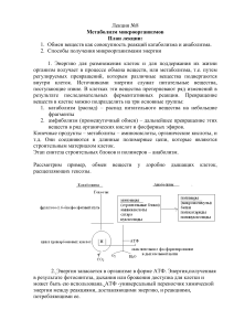 Метаболизм микроорганизмов: Лекция по катаболизму и анаболизму