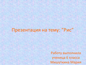 Рис: презентация для 6 класса
