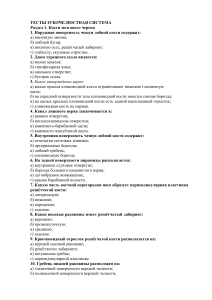 Тест: Зубочелюстная система, кости черепа