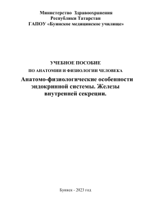 Анатомия и физиология эндокринной системы: Учебное пособие