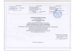Рабочая программа Окружающий мир 3 класс