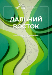 Социально-экономический профиль Дальнего Востока 2024