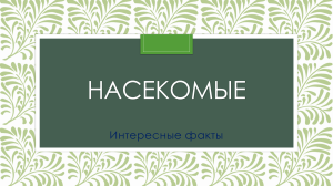 Интересные факты о насекомых: Презентация для детей