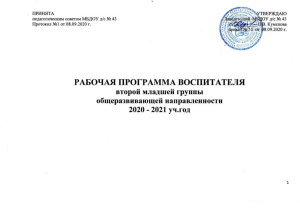 Рабочая программа воспитателя 2 младшей группы