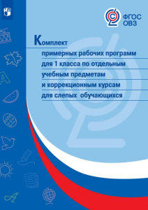 Рабочие программы для 1 класса для слепых детей
