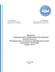 Программа развития молодого педагога. Лицей №14