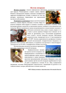 Профилактика желтой лихорадки: информация для населения