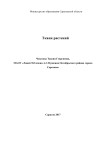 Ткани растений: технологическая карта урока биологии, 5 класс