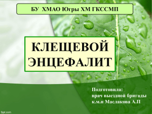 Клещевой энцефалит: симптомы, лечение, профилактика